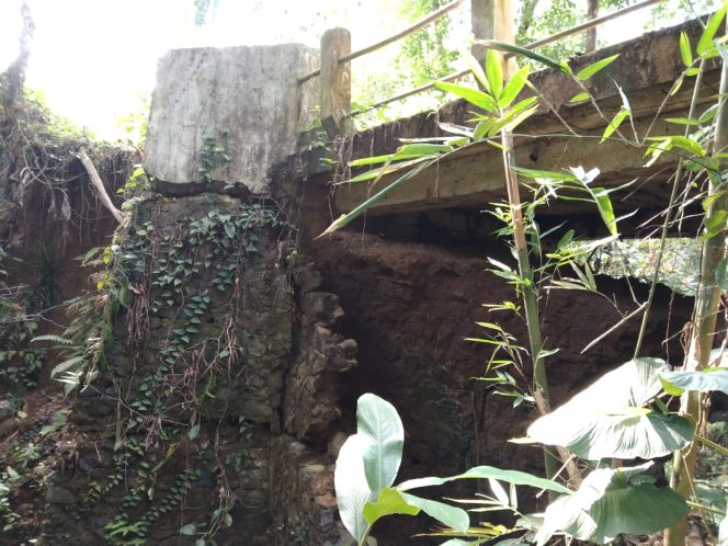 
					Jembatan Sarewu Desa Citaman Berpotensi Ambruk, Warga Minta Pemda Pandeglang Segera Ada Perbaikan