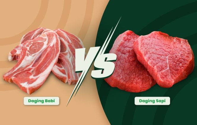 
					Cara Membedakan Daging Babi dan Daging Sapi Ini Kata Wakil Ketua Halal Center UGM