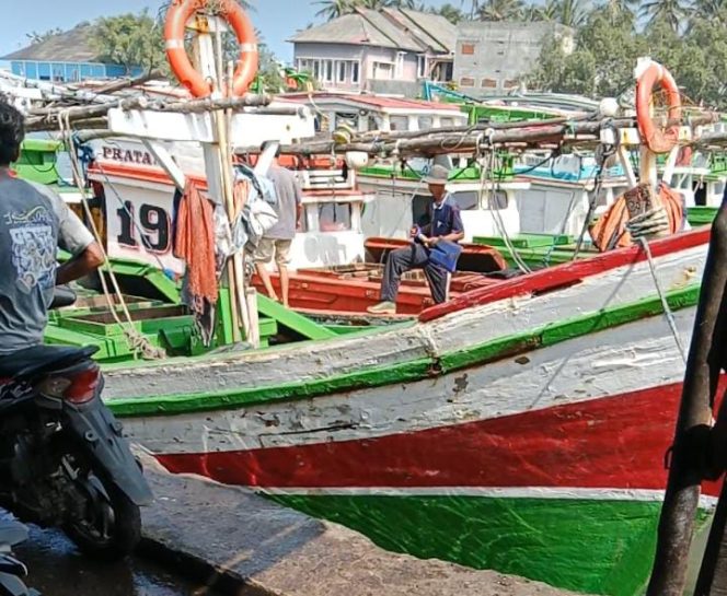
					Nelayan Muara Binuangeun mendapatkan hasil tangkapan Ikan Dan Cumi-cumi Yang Melimpah 