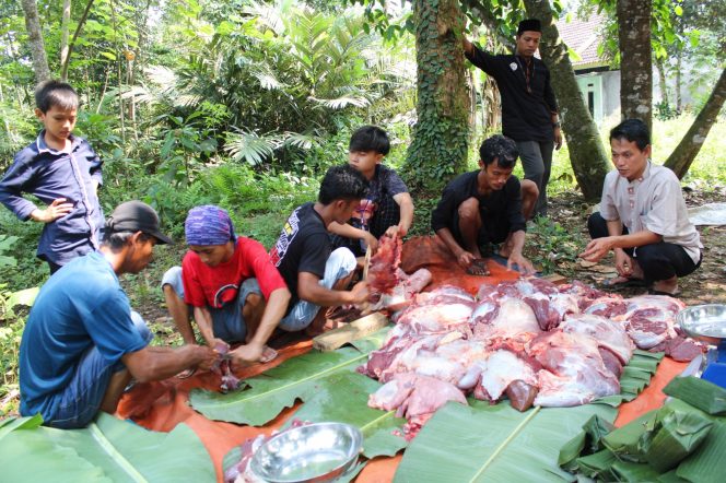 
					Qurban Hingga Pelosok FOI Bersama JNE Distribusikan Daging Kepada Masyarakat