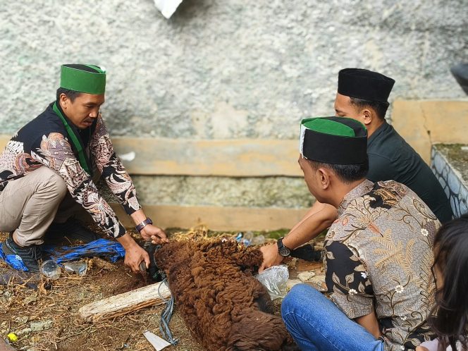 
					Momentum Idul Adha 1445 H, HMI Pandeglang Gelar Penyembelihan Dan Penyaluran Hewan Qurban