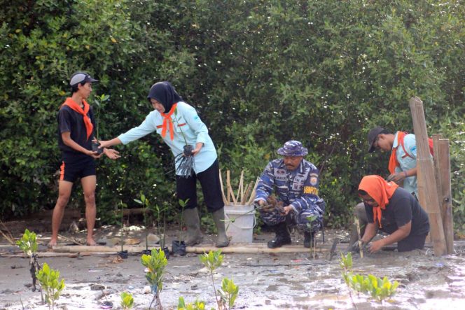 
					Penanaman Mangrove di Pesisir Pantai Mangrove Pancer Karangantu, Cegah Abrasi dan Lindungi Ekosistem Laut (Dok : Nusakata.com)