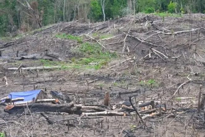 
					Isu Lingkungan Harus Menjadi Fokus Utama di PILKADA Sumbawa