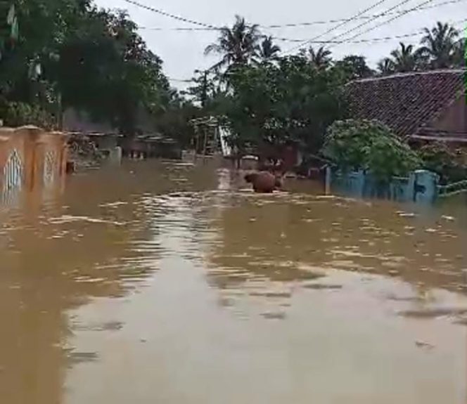 
					Sungai Cipedang Meluap, 375 Rumah di Cipedang Terendam Banjir (Nusakata.com)