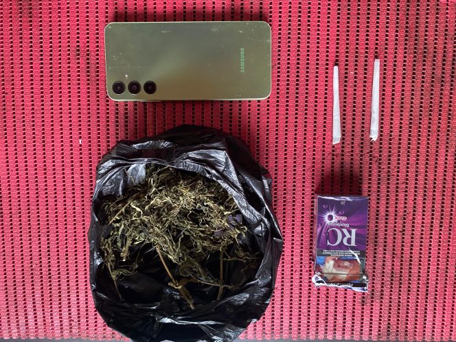 
					Ungkap Kasus Tindak Pidana Narkotika jenis Ganja