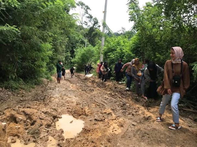 
					Jalan Lintas Orong Telu (Dok/Ist)