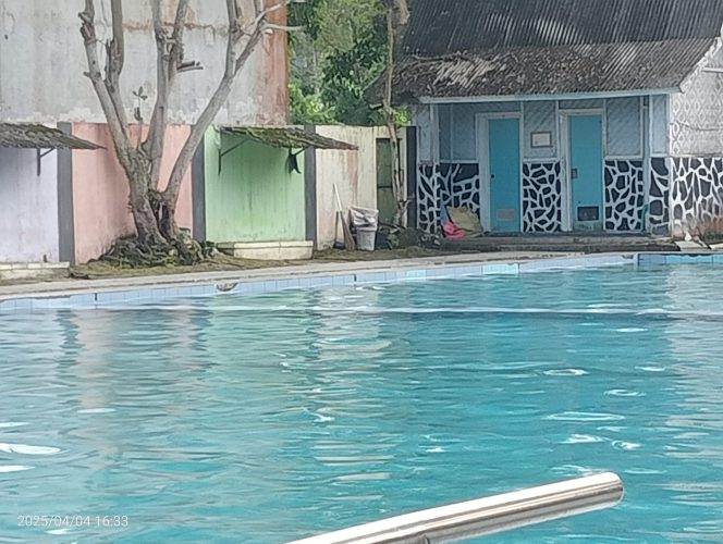 
					Colam renang milik pemda pandeglang tak terurus wilayah cikoromoy (Dok/Irgi/nusakata.com)