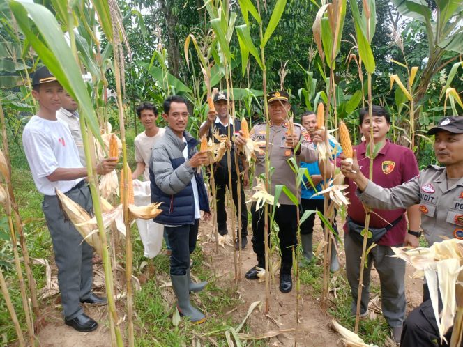 
					Polsek Bojong Dukung ketahanan Pangan (Ist)