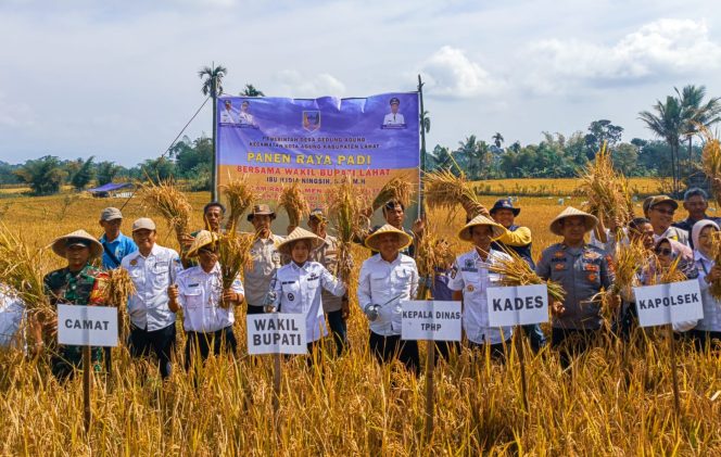 
					Kepala Desa Gedung Agung Di Sambut Kedatangan Wabup Dan Dinas TPHP Panen Raya Padi (Dok/Robby/nusakata.com)