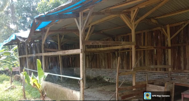 
					Program Ketahanan Pangan Desa Koranji Kecamatan Pulosari Terbengkalai gagal melaksanakan (Dok/Irgi/nusakata.com)