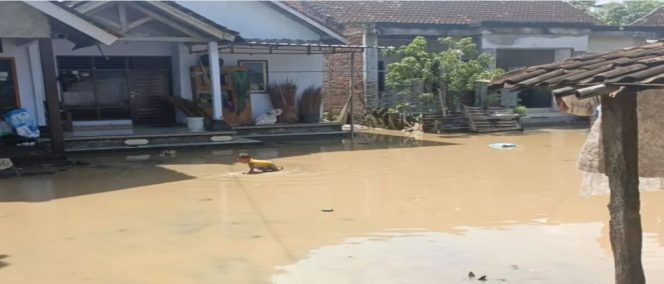 
					Photo: Banjir di Jembrana Bali rusak fasilitas umum dan rumah warga (dok: BPBD Jembrana)