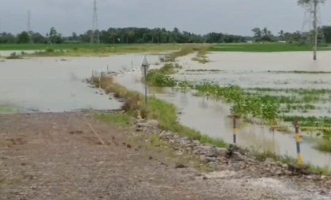 
					Dampak Pembangunan Tol Serpan Seksi 3, Sawah Warga Panimbang Pandeglang Terendam dan Menuntut
