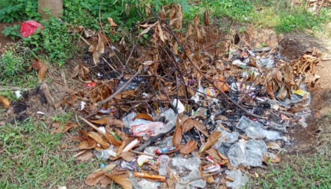 
					Gambar Pembakaran Sampah (Ist)
