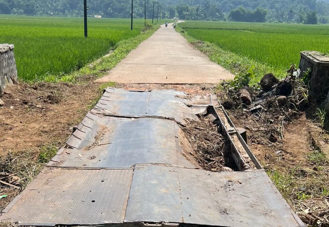 
					Kondisi jembatan Kp. Pasirkoer RT 004 RW 002, Desa kubangkondang, Kecamatan Cisata (Dok/Nusakata.com)