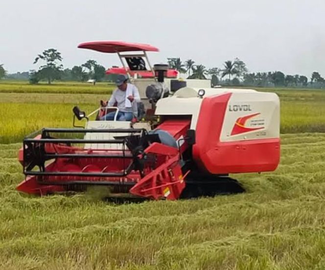 
					Foto : Tanpa Regulasi Pemerintah, Combine Harvester Menggarap Lahan Sawah Semrawut Tidak Beraturan (Dok/ist)
