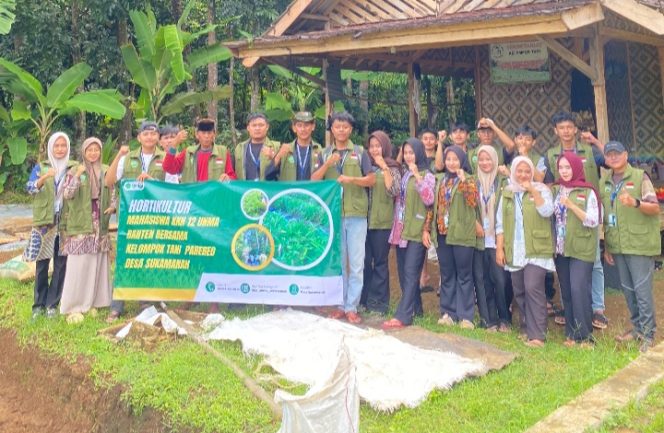 
					Mahasiswa KKN dan Tanaman Holtikultura (Dok/Ist)