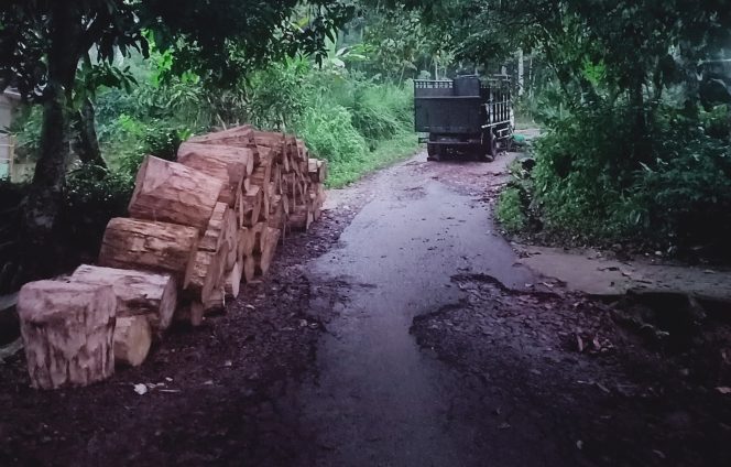 
					Tanjakan Jalan Kampung Babakan Desa Kubangkondang, Kecamatan Cisata, Pandeglang, Banten.