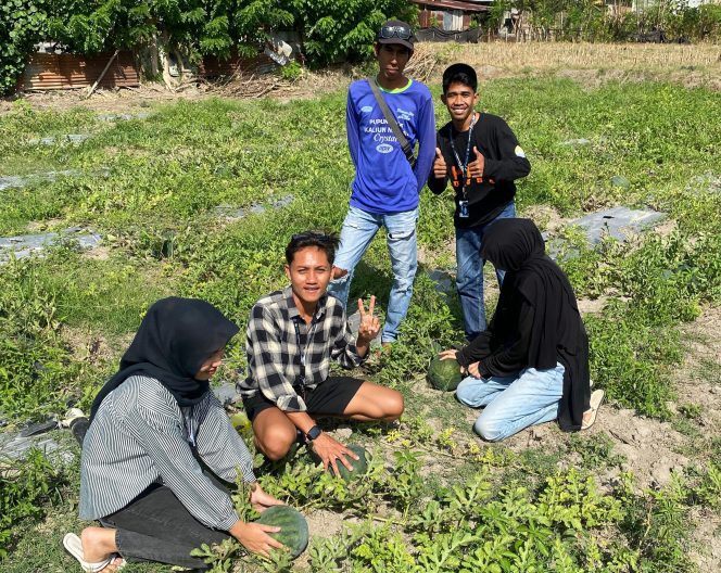 
					Gambar Tanaman Semangka