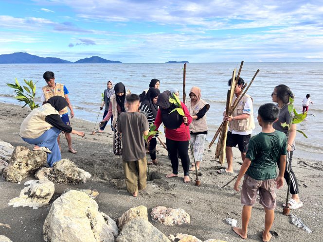 
					Mahasiswa KKN USN Kolaka Angkatan XII Tanam 100 Bibit Bakau di Pesisir Bat-Bat Konaweha