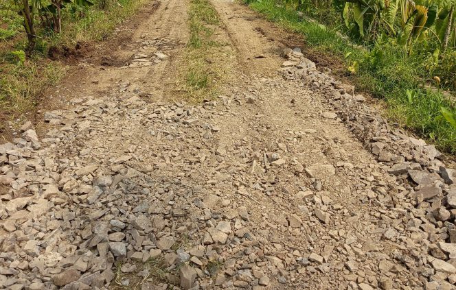 
					Proyek Betonisasi Asal Jadi di Jalan Sukarame Carita, DPRKP Diminta Sidak. Selasa,(23/9/2025).