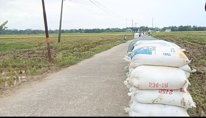 
					Gambar Pupuk di jalan Kadubera Milik Petani. (Ist)