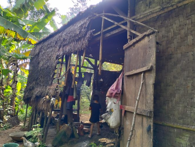 
					Tinggal di Rumah Tidak Layak Huni, Warga Desa Pondokpanjang Berharap Bantuan Pemerintah. (Ist)