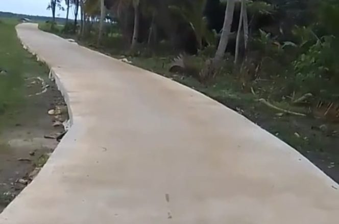 
					Viral, Jalan Rabat Beton Menuju Sawah Rapuh Dan Tambal Sulam. (Ist)