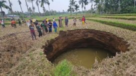Fenomena Lubang Besar Ditengah Persawahan. (Dok:Ist)