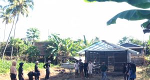 Mahasiswa Universitas Samawa Gelar Penanaman TOGA di Desa lito